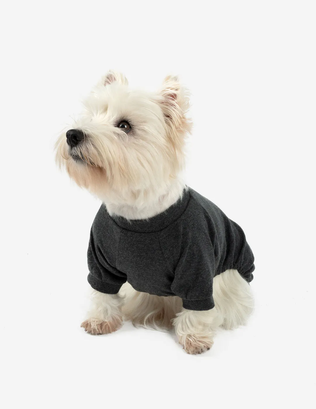 Dogs Solid Color Dark Grey Pajamas