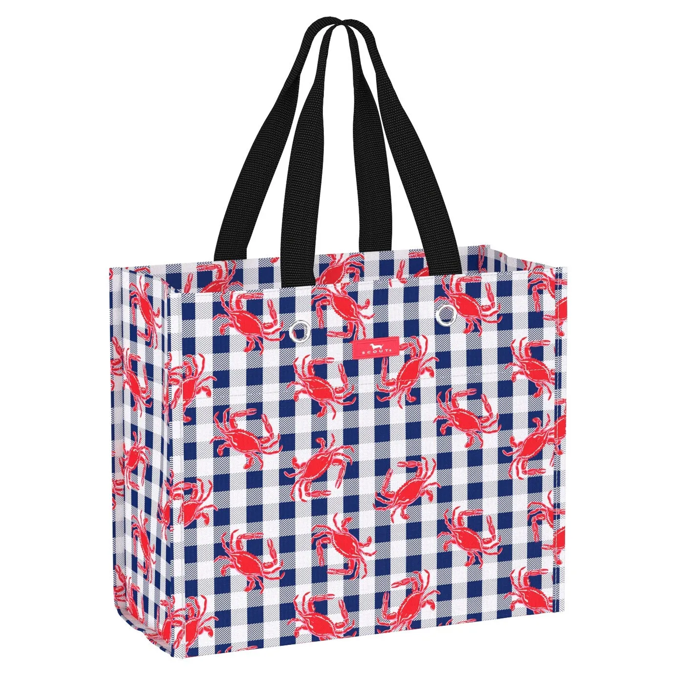 Scout Large Package Gift Bag - Summer 2024