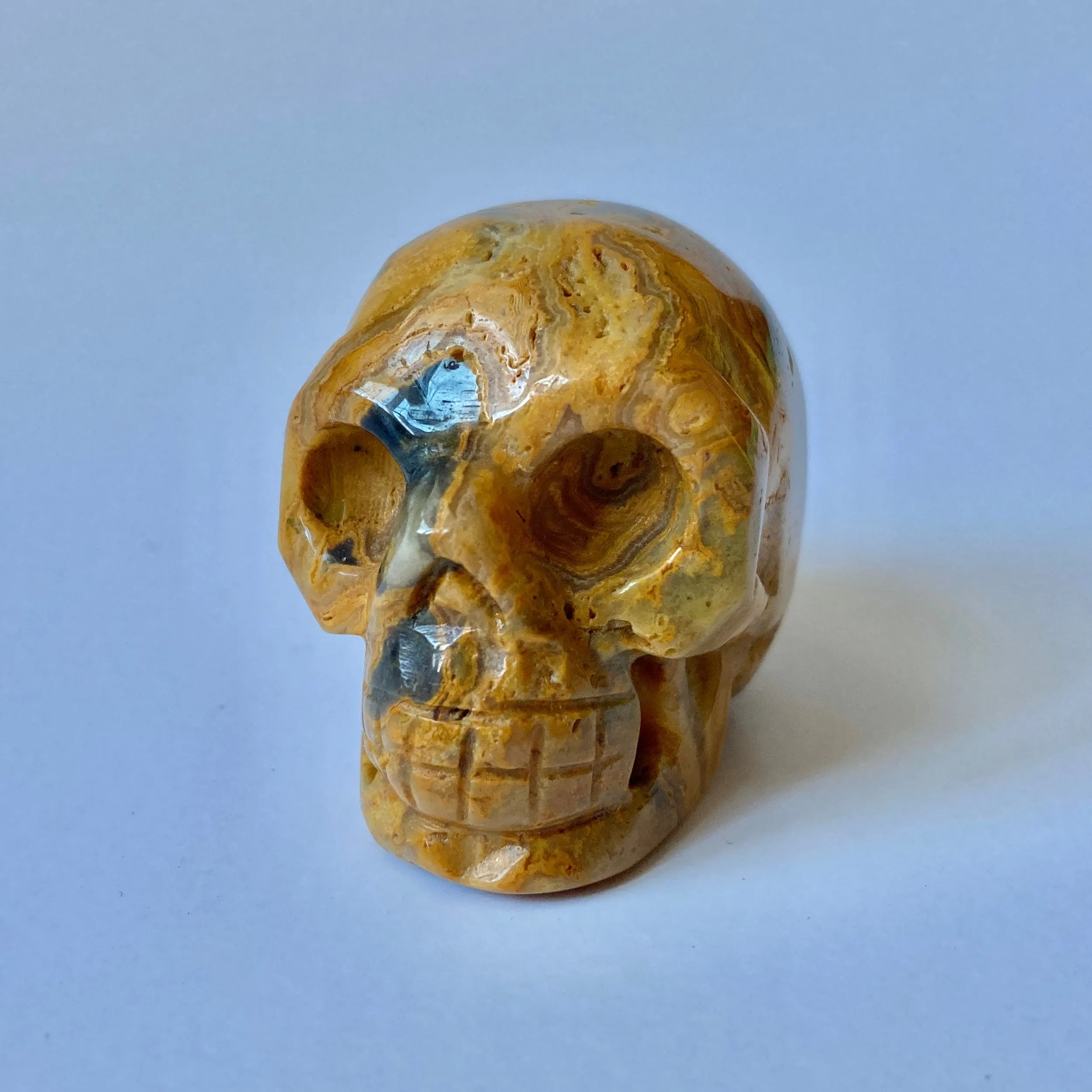 Yellow Mustard Jasper Skull