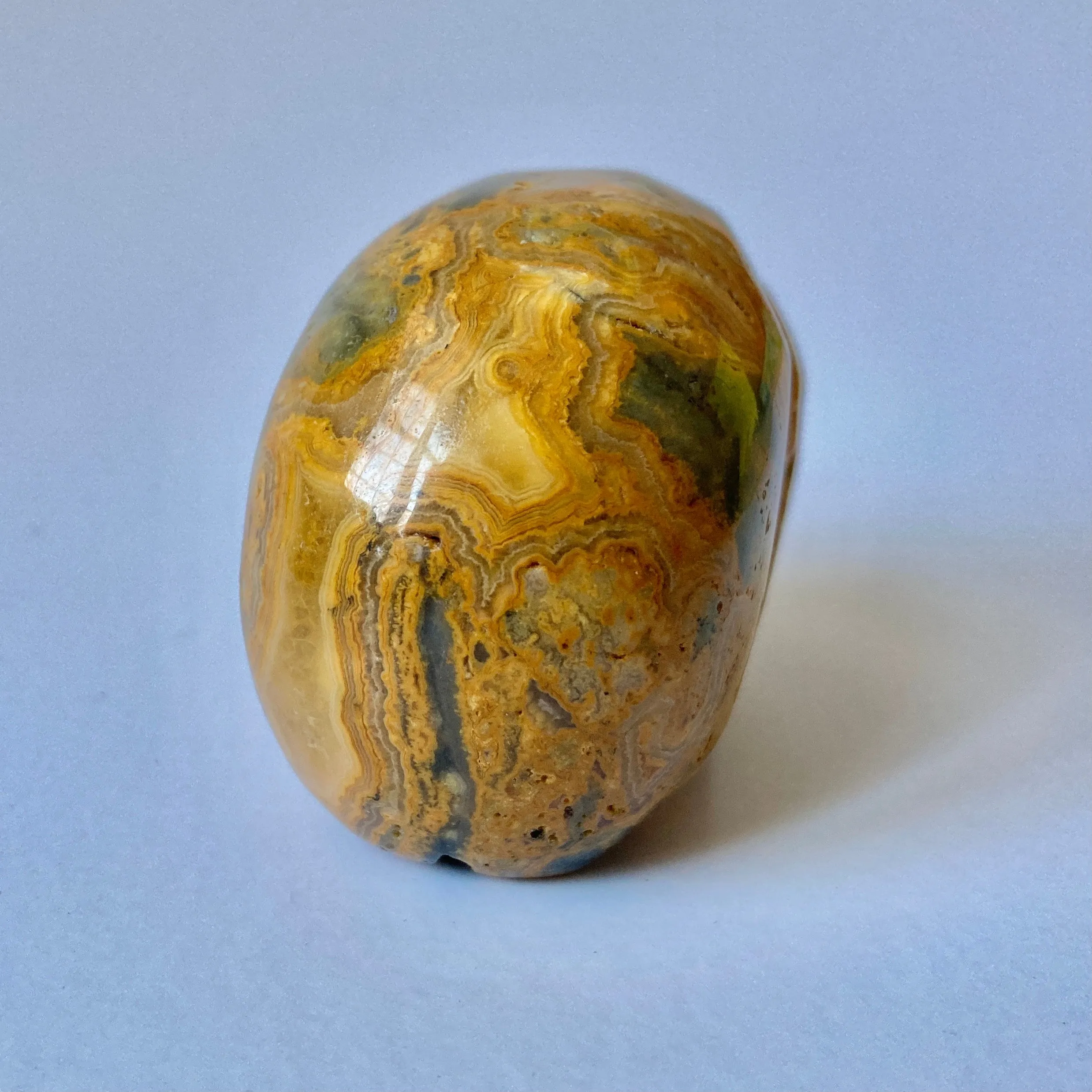 Yellow Mustard Jasper Skull