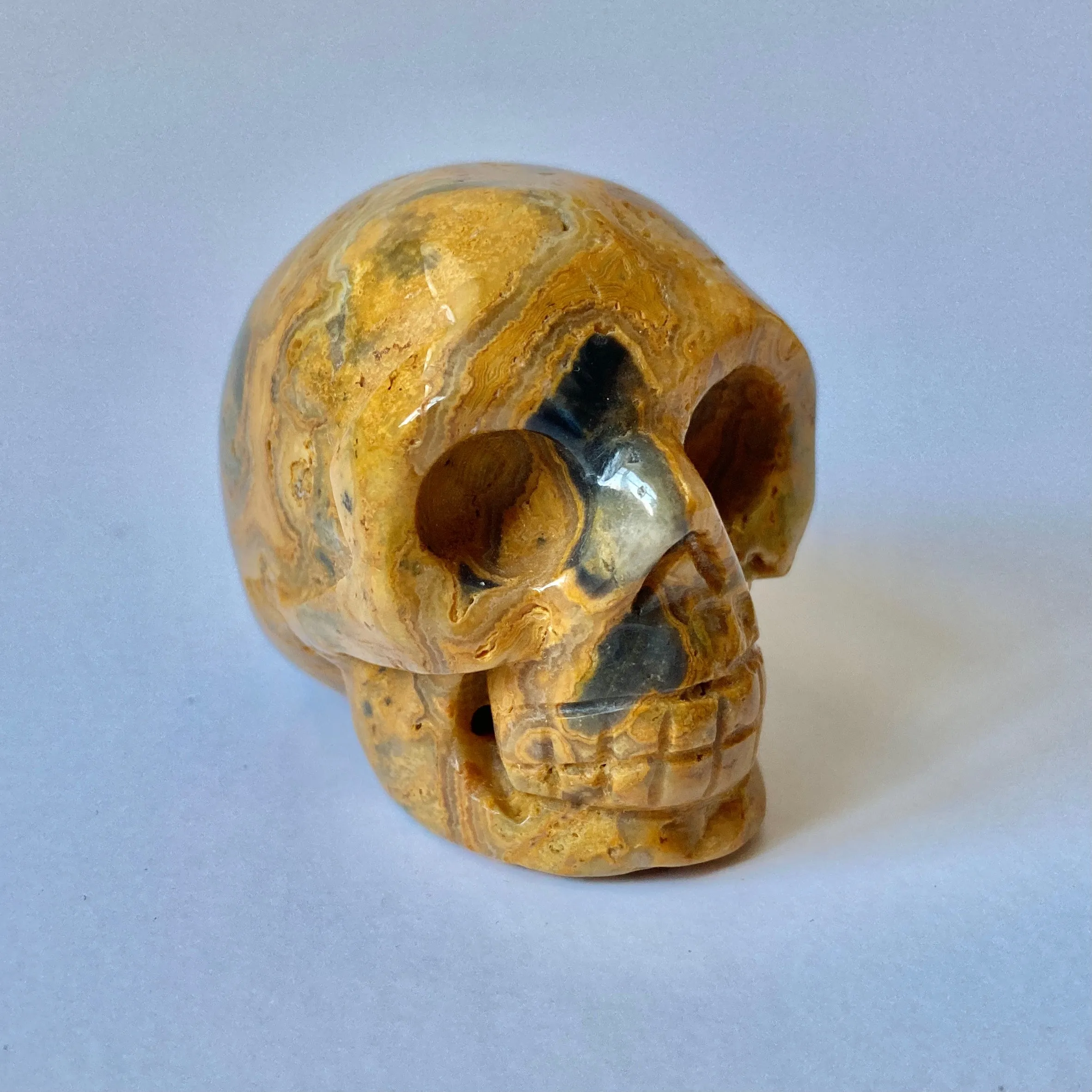 Yellow Mustard Jasper Skull